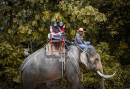 Elephant Trekking in Krabi - 30 minutes