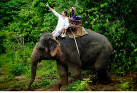 Elephant Trekking in Krabi - 30 minutes